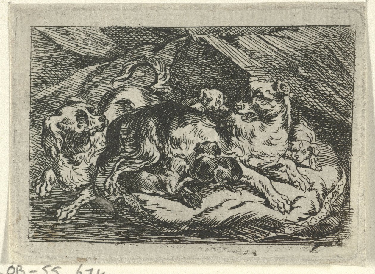 Kuld med unge hunde af Tethart Philip Christian Haag