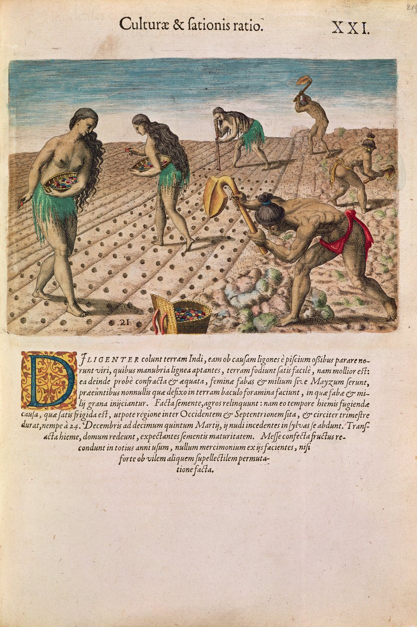 Florida-indianere planter majs, fra "Brevis Narratio...", udgivet af Theodore de Bry, 1591 (se også 111671) af after Le Moyne, J.Bry
