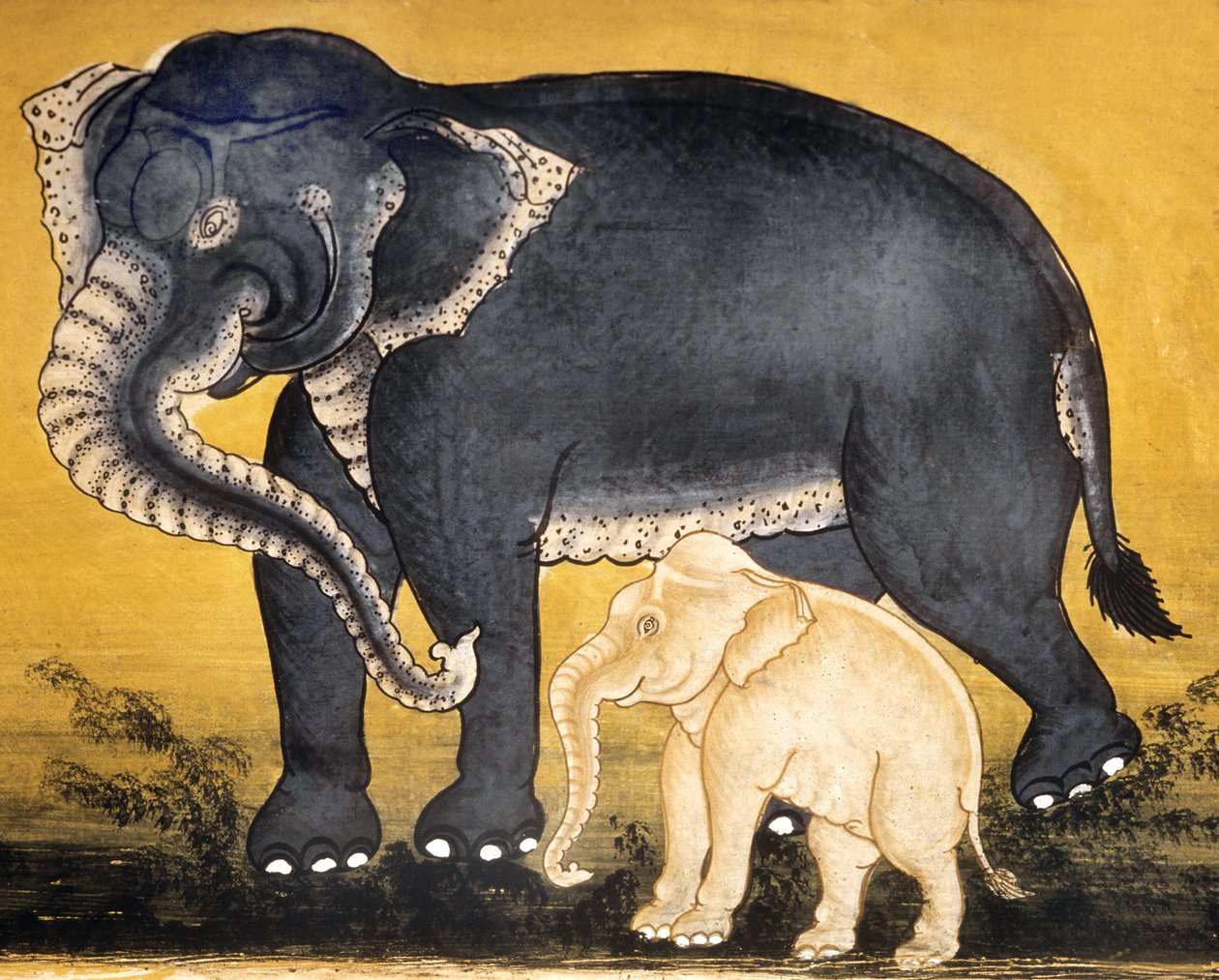 Elefant og kalv, side fra et manuskript om elefanttræning (wc på papir) af Thai School