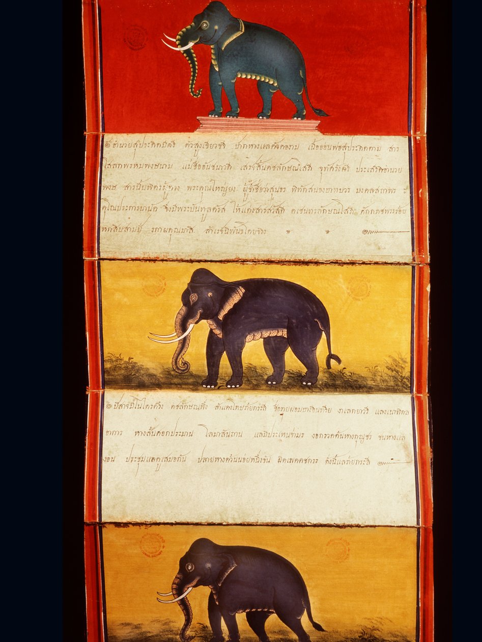 Folio fra et manuskript om elefanttræning (pen & blæk og wc på papir) af Thai School