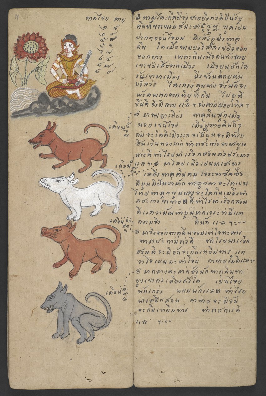Eller 16455 f.11r, Dyr fra Zodiac, fra Phrommachat (pergament) af Thai School