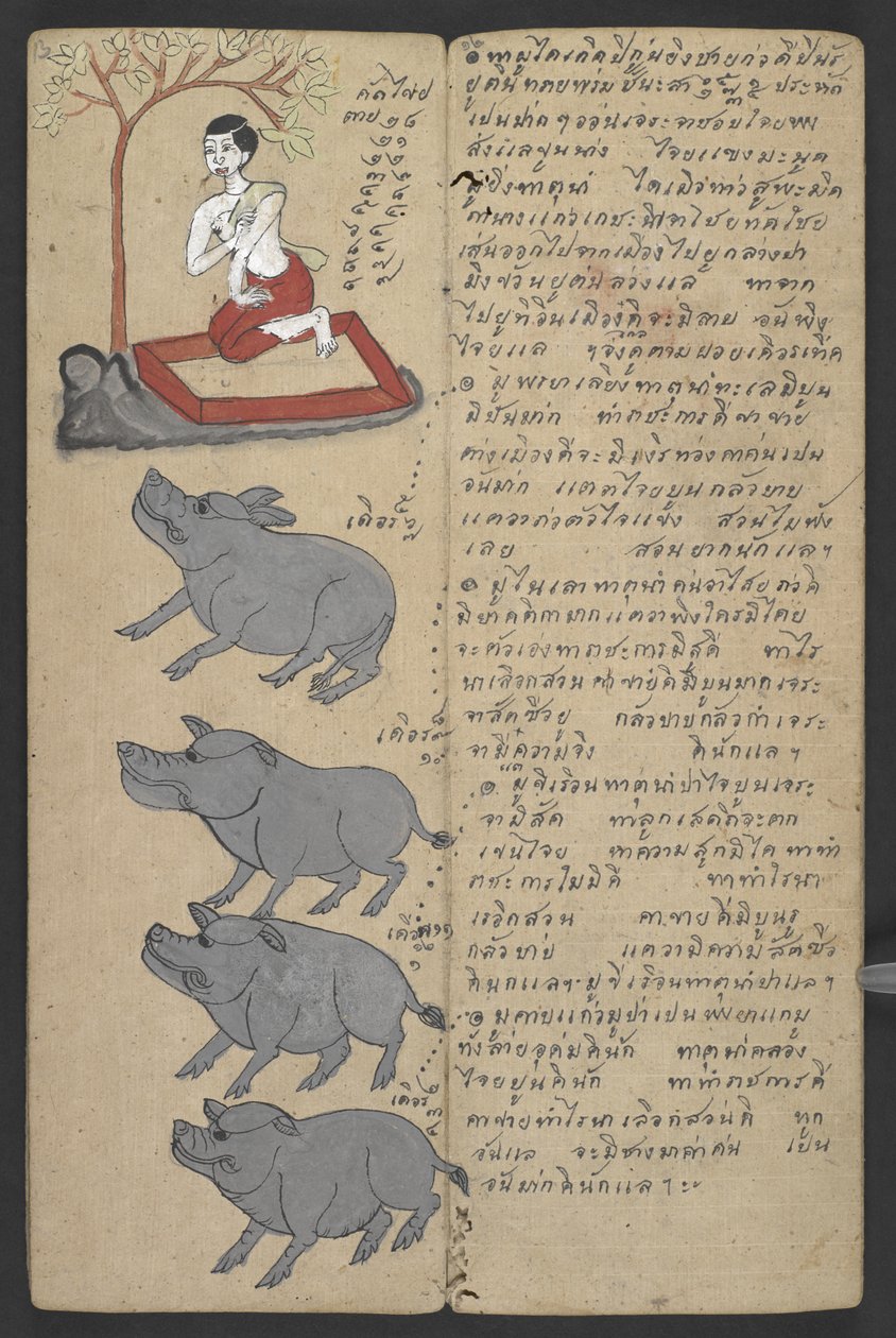 Eller 16455 f.13r, Dyr fra Zodiac, fra Phrommachat (pergament) af Thai School