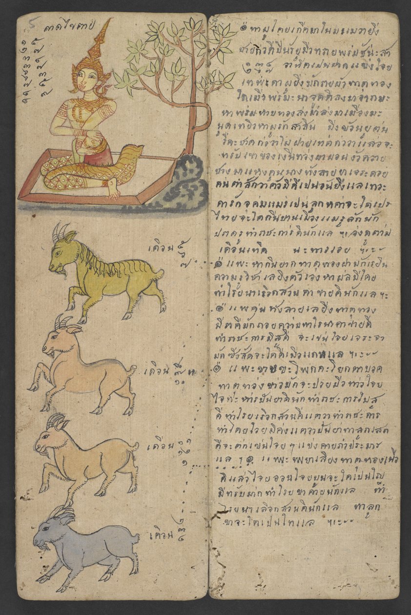 Eller 16455 f.5r, Dyr fra Zodiac, fra Phrommachat (pergament) af Thai School
