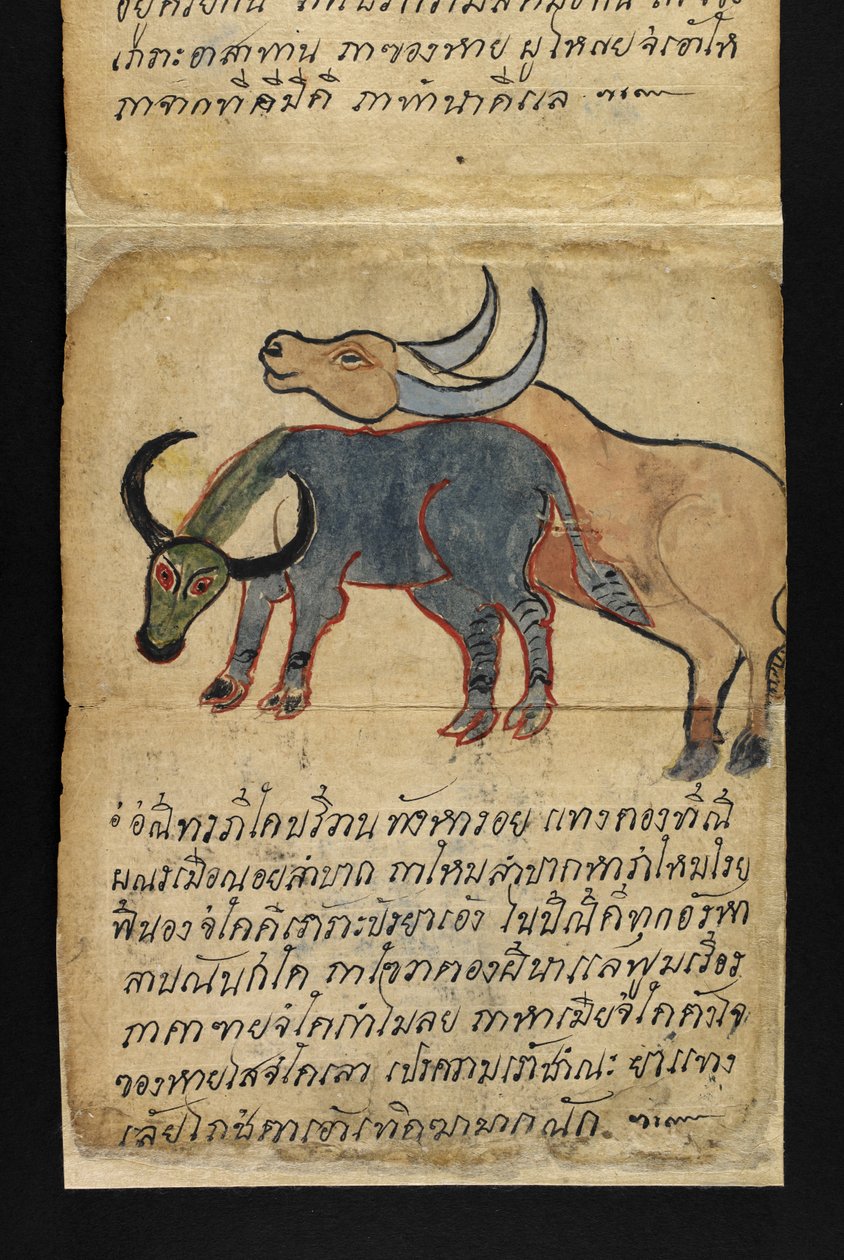 Eller. 16482, f.15 