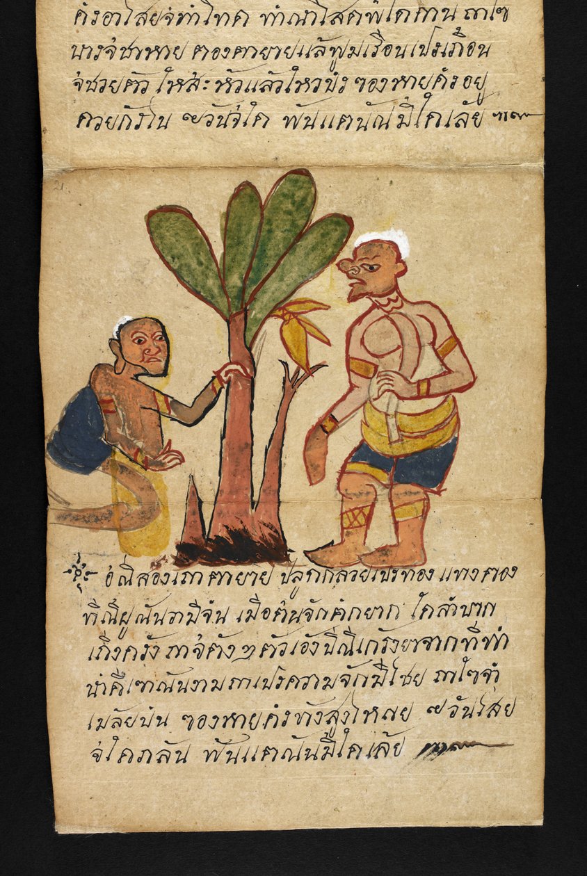 Eller. 16482, f.21 