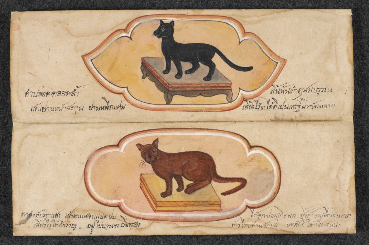 Siameserkatte, Fol. 1: to heldige katte til at støtte forretning og akkumulering af rigdom, Or. 16797, f.1 (pergament) af Thai School