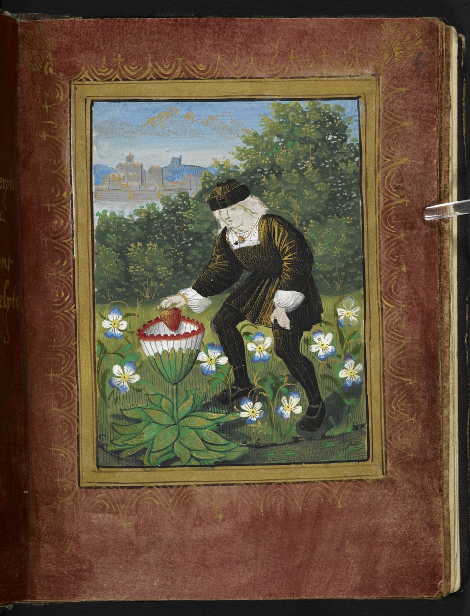 Stowe 955 f.6r Miniature af Pierre Sala, der taber 