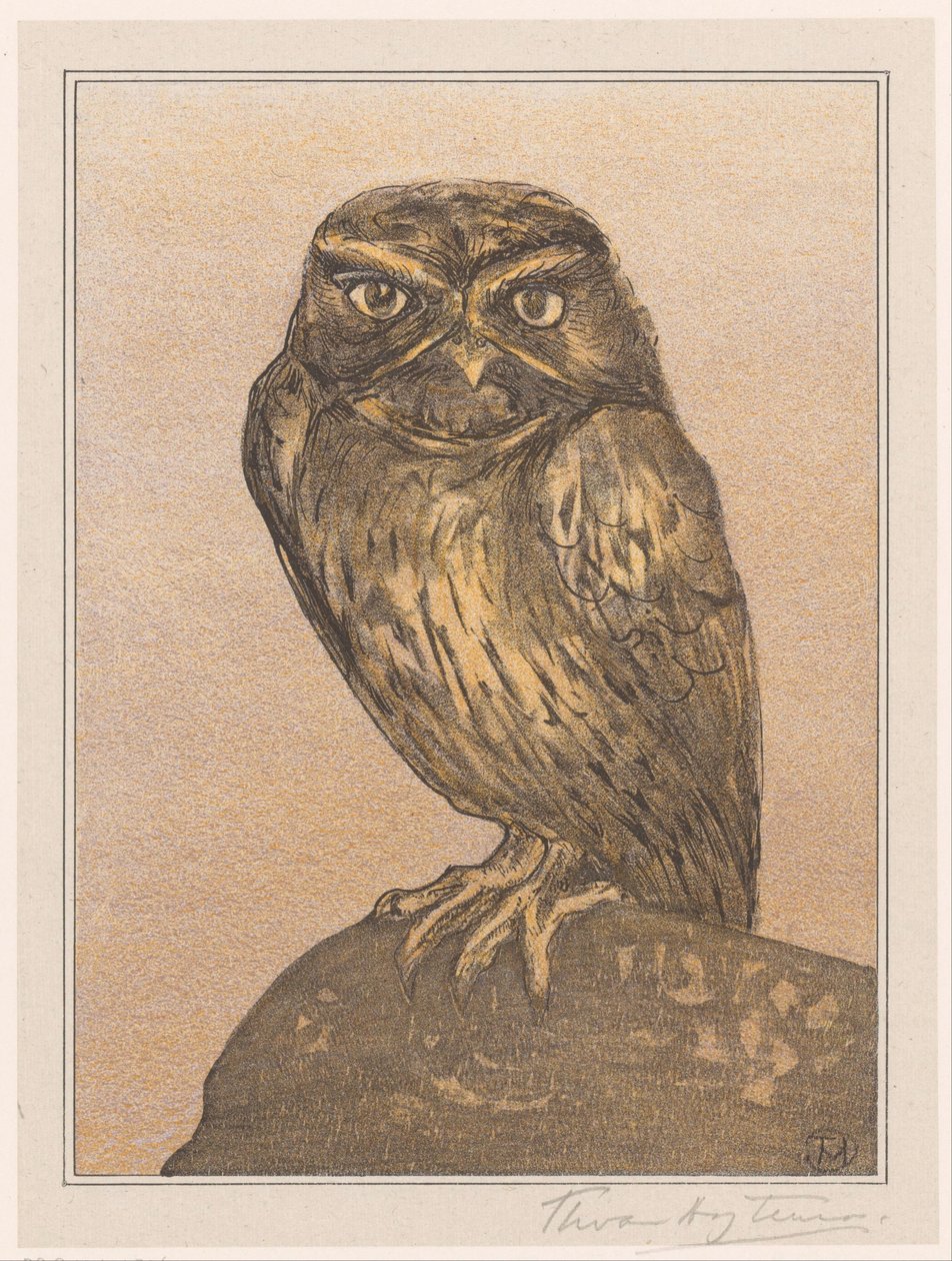 Lille ugle på sten af Theo van Hoytema (signed by artist)