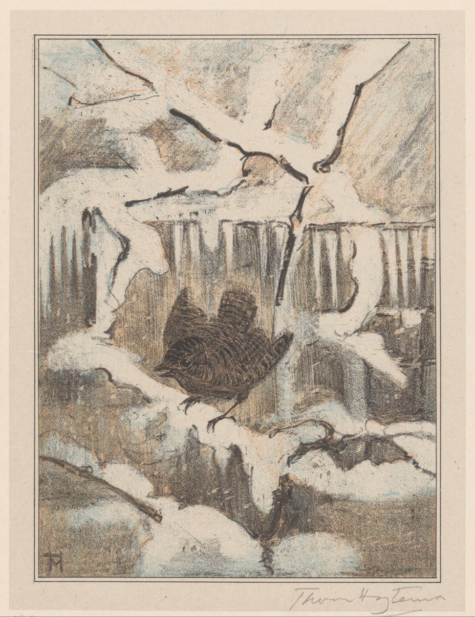 Græssmutte på sneklædt gren af Theo van Hoytema (signed by artist)