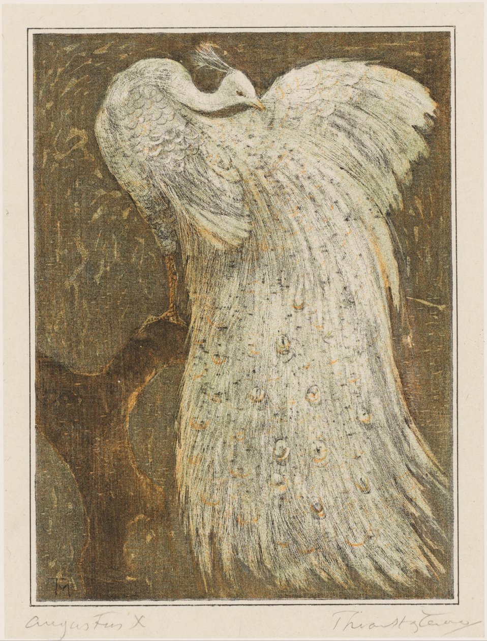Hvid påfugl på gren af Theo van Hoytema (signed by artist)