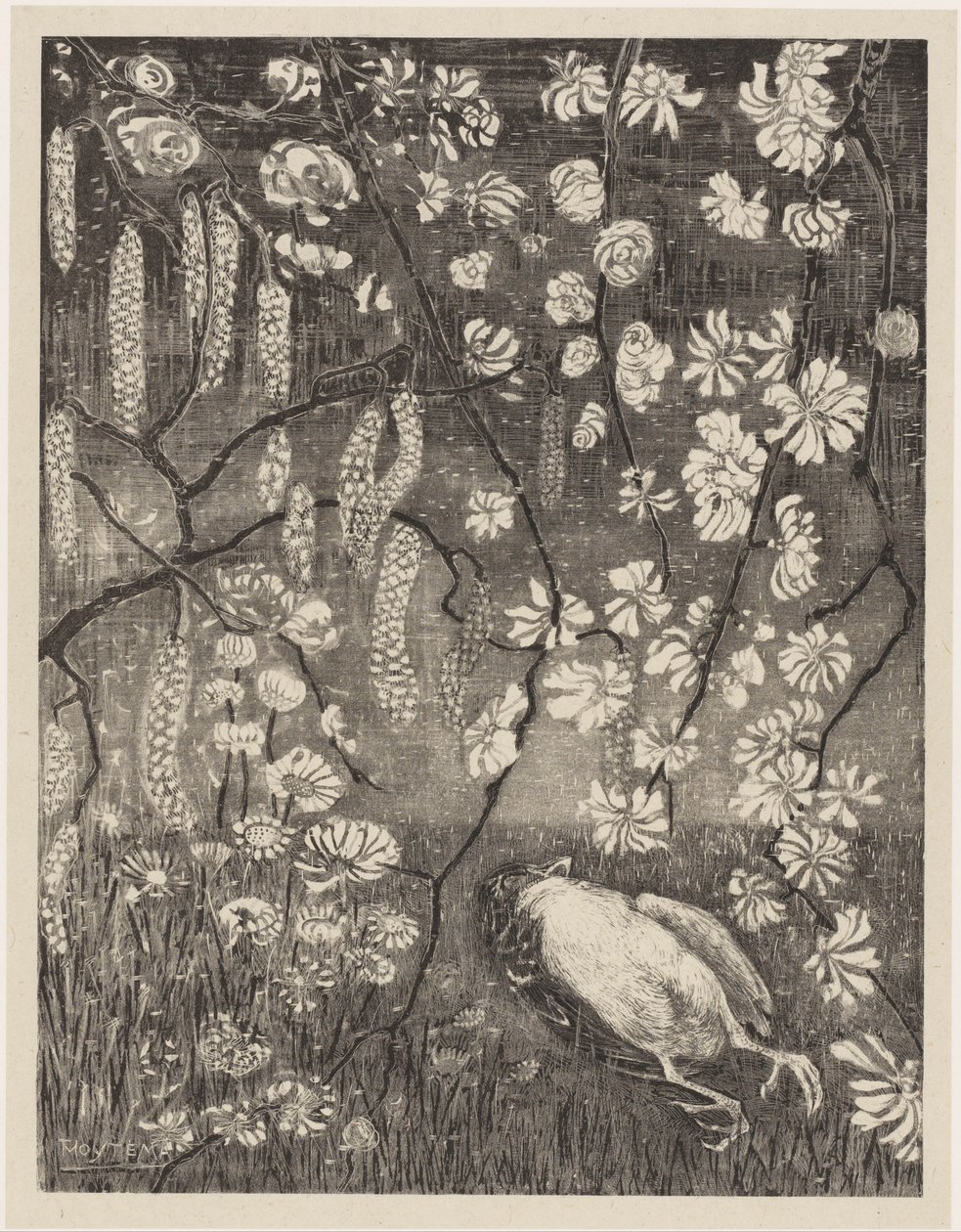 Død fugl under hassel- og kaprifoliergrene Flower Studies (original serietitel) af Theo van Hoytema