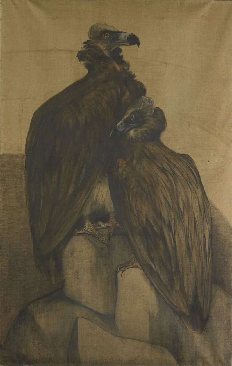 To arabiske gribbe af Theo van Hoytema