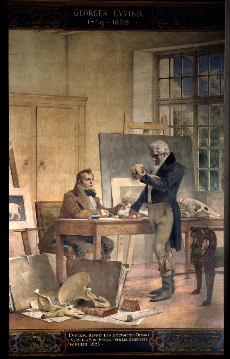 Palæontologi: "" Baron Georges Cuvier (1769-1832) genforener dokumenterne for sit arbejde med fossile knogler"" Fresco af Theobal Chartran (1849-1907). Paris Universitet i Sorbonne af Theobald Chartran