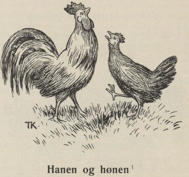 Hanen og hnenThe Cock and Hen af Theodor Kittelsen