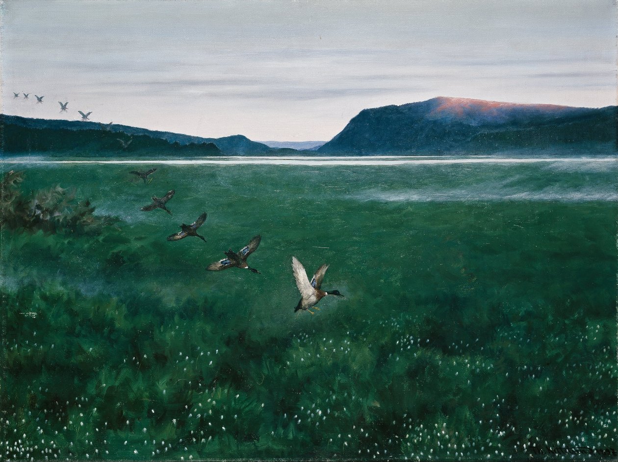 De tolv vilde ænder af Theodor Kittelsen