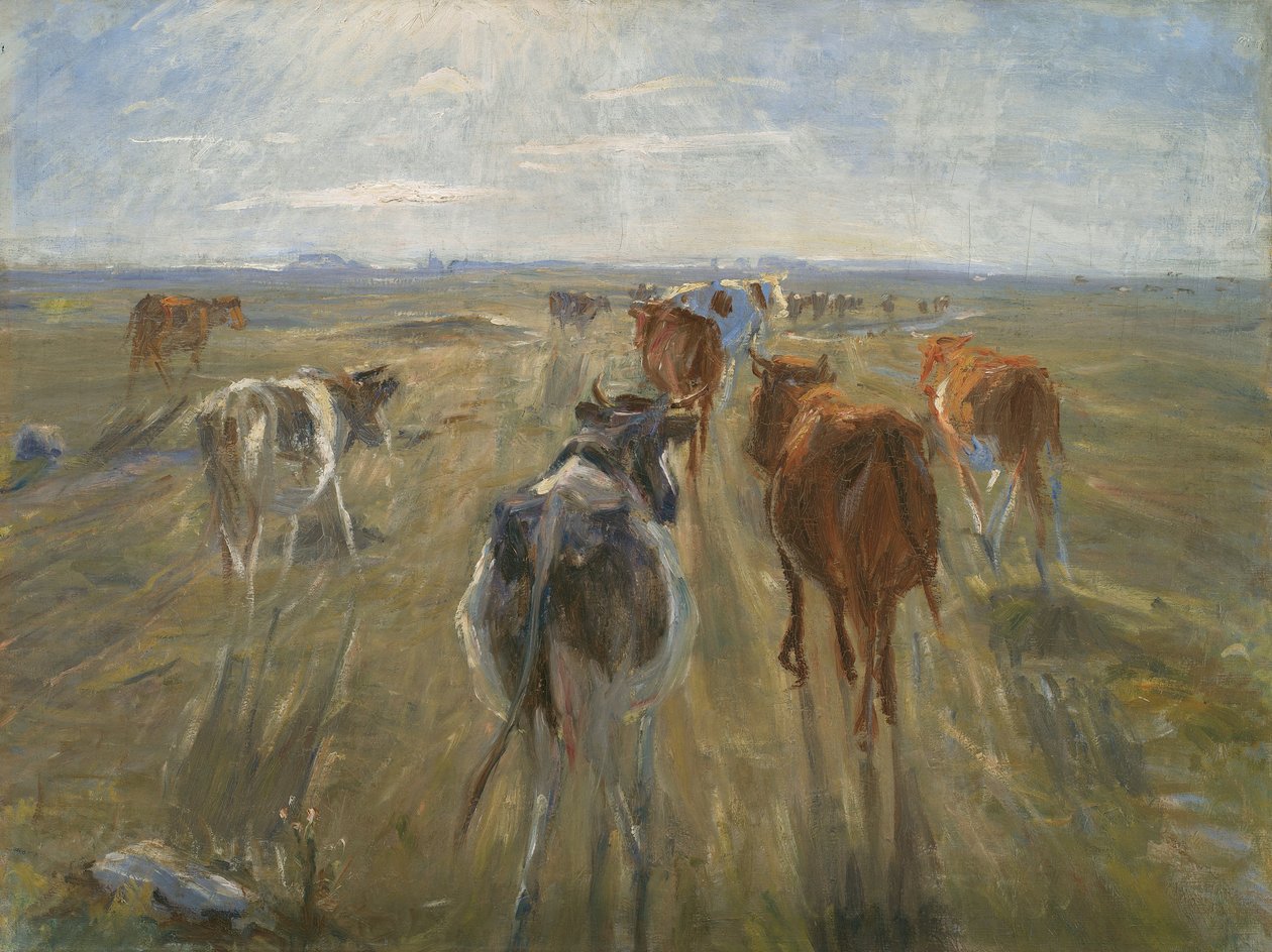 Lange skygger. Kvæg på øen Saltholm af Theodor Esbern Philipsen