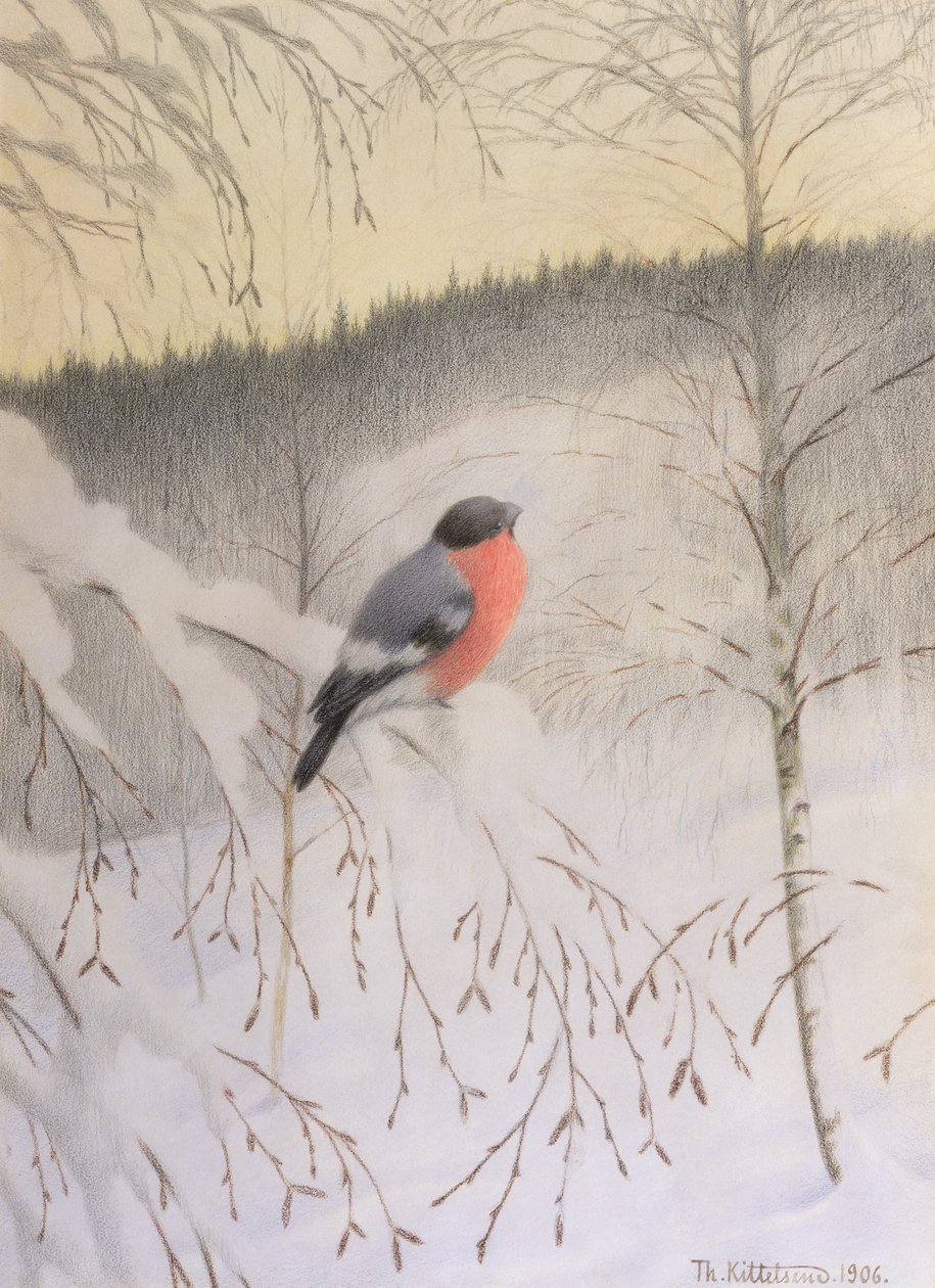 Bullfinch på Frosty Kvist af Theodor Kittelsen