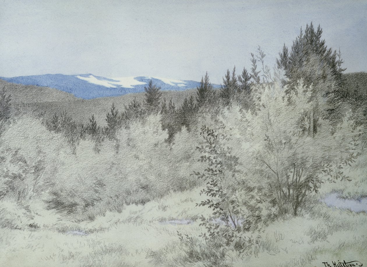 Langt langt væk i skoven af Theodor Kittelsen