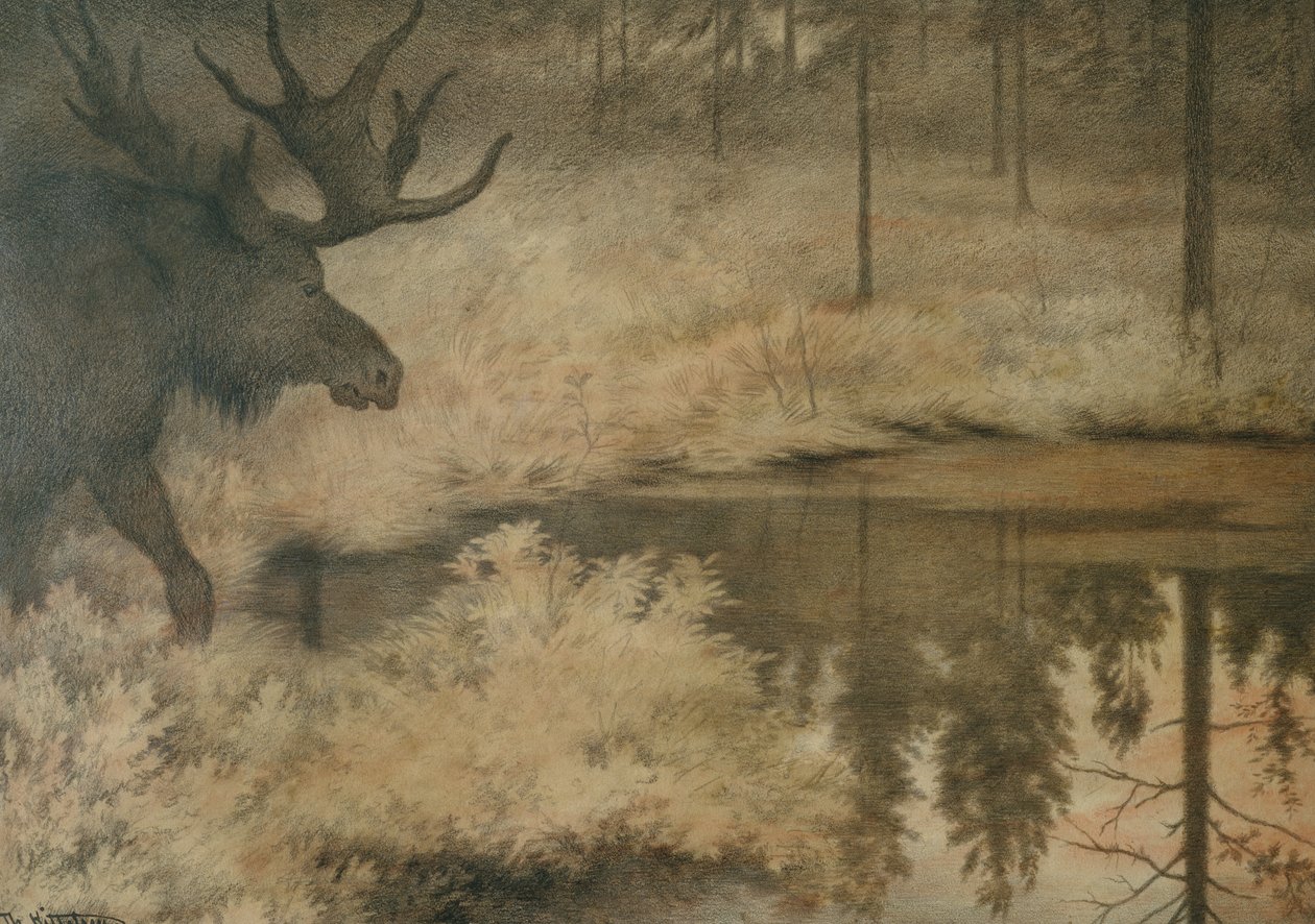 Elgen kommer for at slukke sin tørst af Theodor Kittelsen