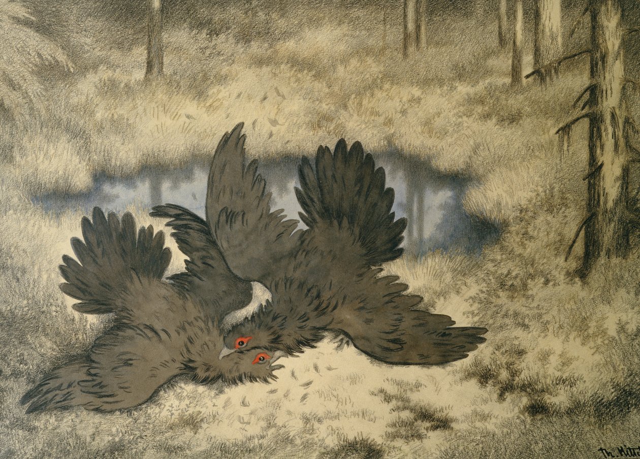 Troldefuglen kæmper derinde af Theodor Kittelsen