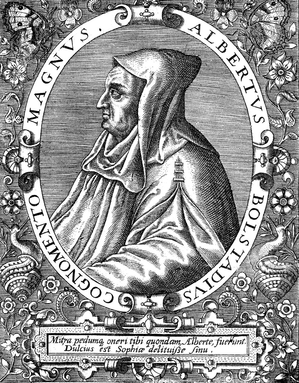 Albertus Magnus c1200-1280 German-born Dominican friar, late 16th centurydani af Theodor de Bry