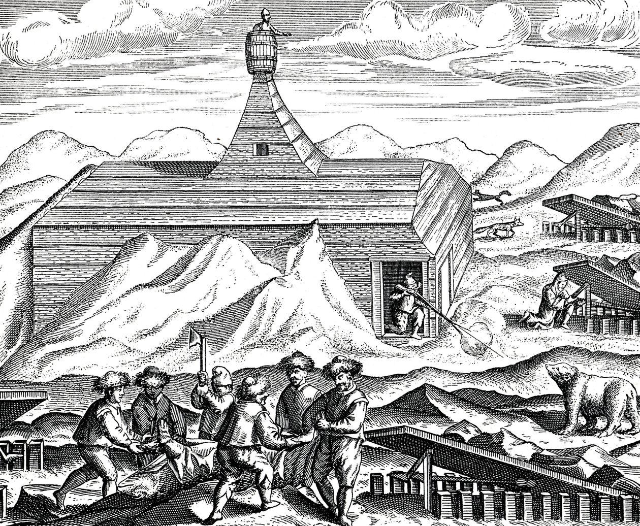 Skærer en bjørn op på Nordpolen, ca. 1600 (gravering) af Theodor de Bry