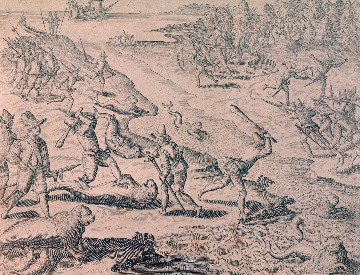 Slagtning af søløver af opdagelsesrejsende af Theodor de Bry