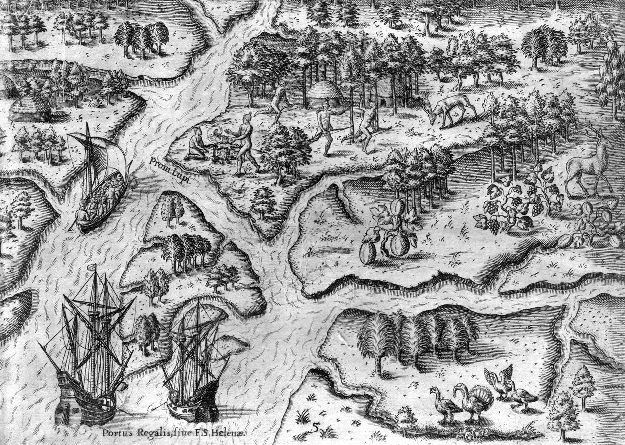 Den franske ekspedition lander i Port Royal, Florida af Theodor de Bry