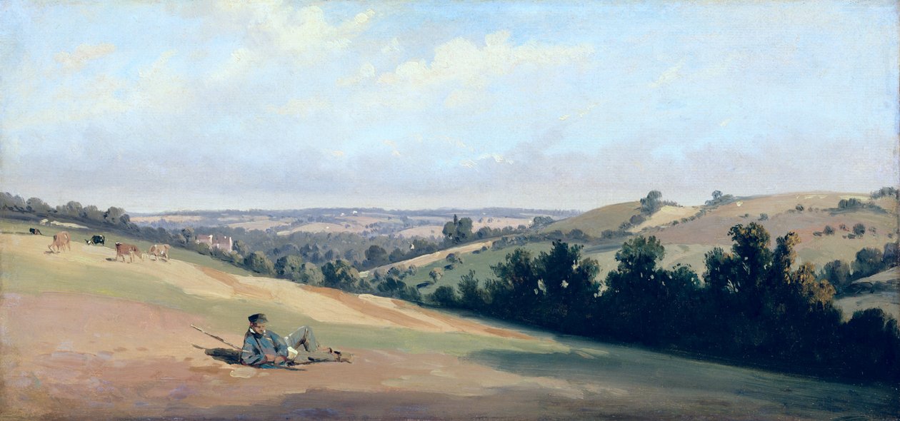 Young Man Reclining on the Downs, ca. 1833-35 (olie på papir) af Theodore Caruelle d Aligny