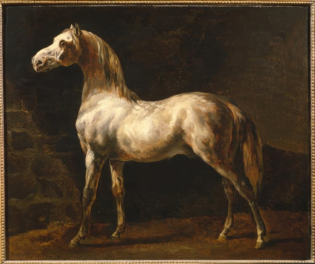 Den hvide hingst af Theodore Gericault