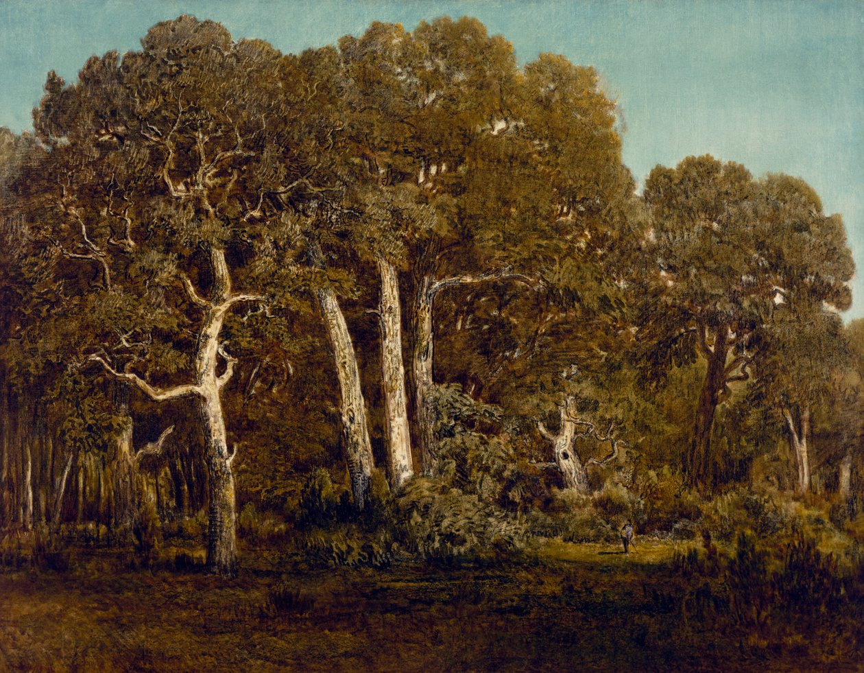 The Great Oaks of Old Bas-Breau, 1864 af Pierre Etienne Theodore Rousseau