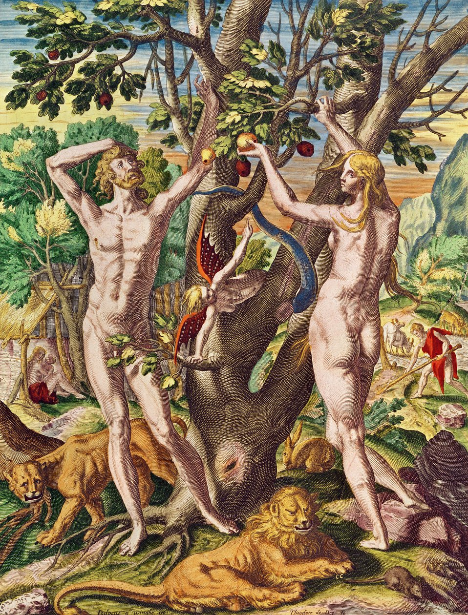 Admiranta Narratio.... Adam og Eva (side 40), 1585-1588 (farvegravering) af Theodore de Bry