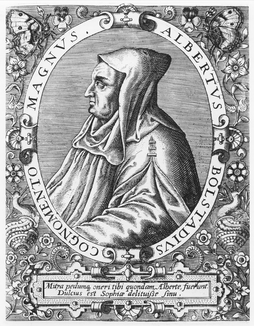 Albertus Magnus af Theodore de Bry