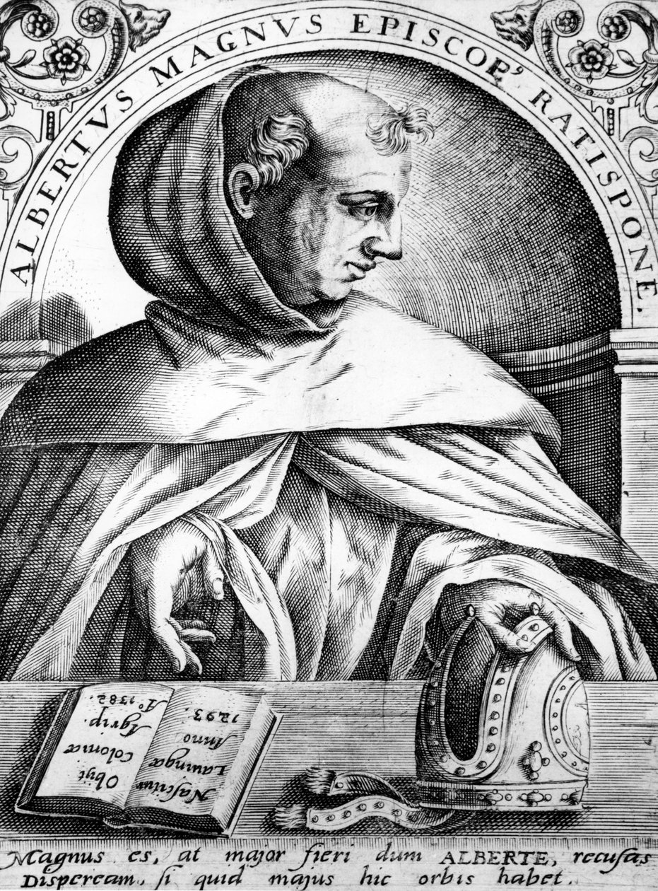Albertus Magnus, illustration fra 