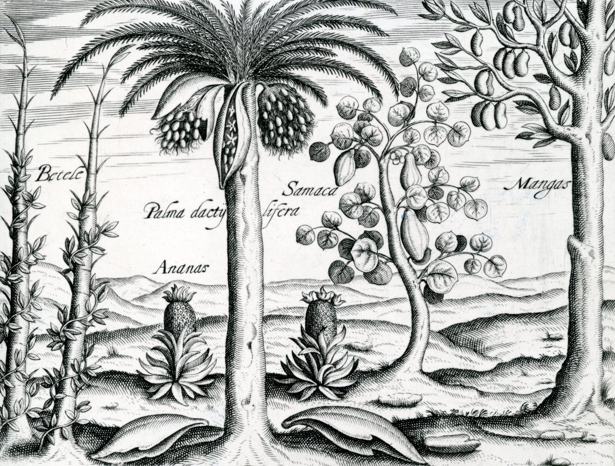 Landskab, Illustration fra 