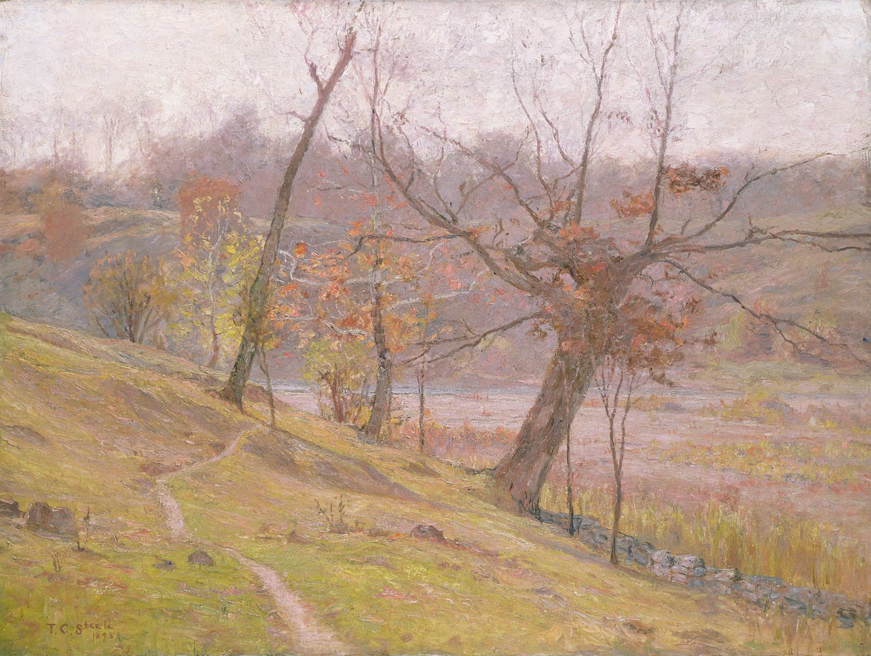 Druens blomst af Theodore Clement Steele