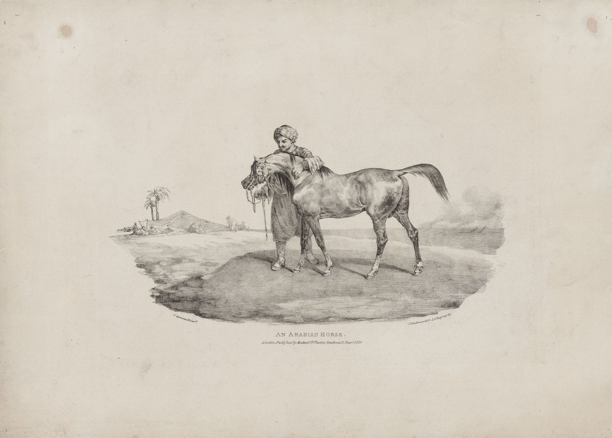 En arabisk hest af Theodore Gericault