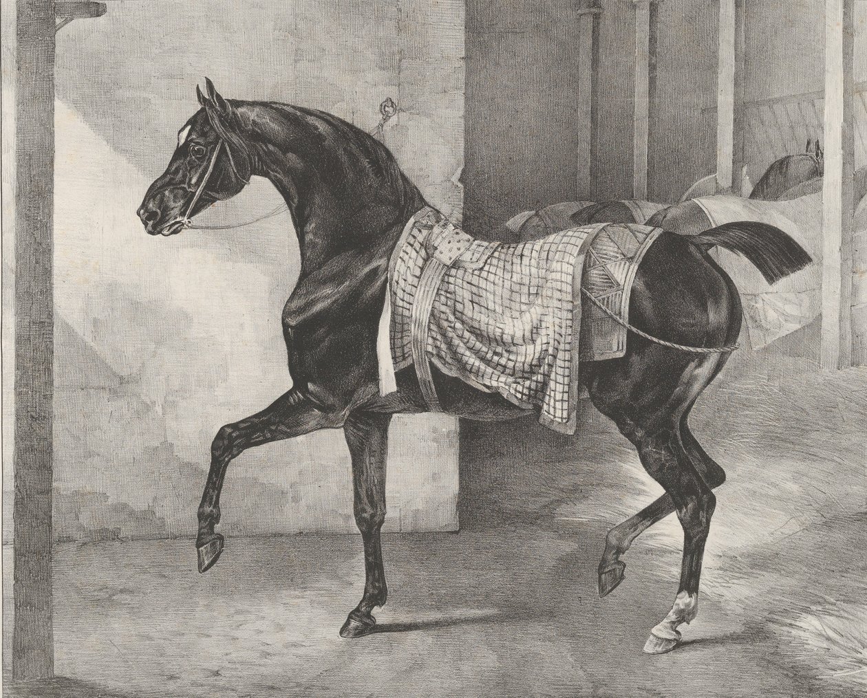 Sort hest bundet i en stald, 1822. af Theodore Gericault