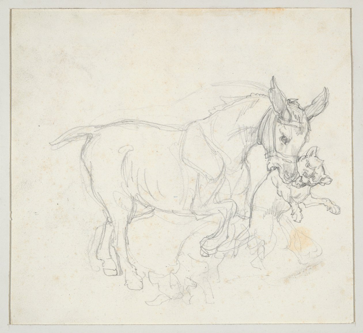 Æsel, der bærer en hund i munden (forsiden); Studie af hjort, der jages af hunde, hjortehoved (bagsiden) af Theodore Gericault