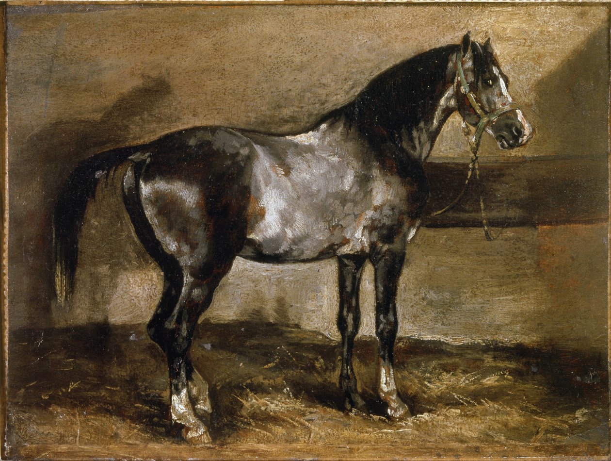 Grey Horse at the Ratelier - olie på lærred af Theodore Gericault