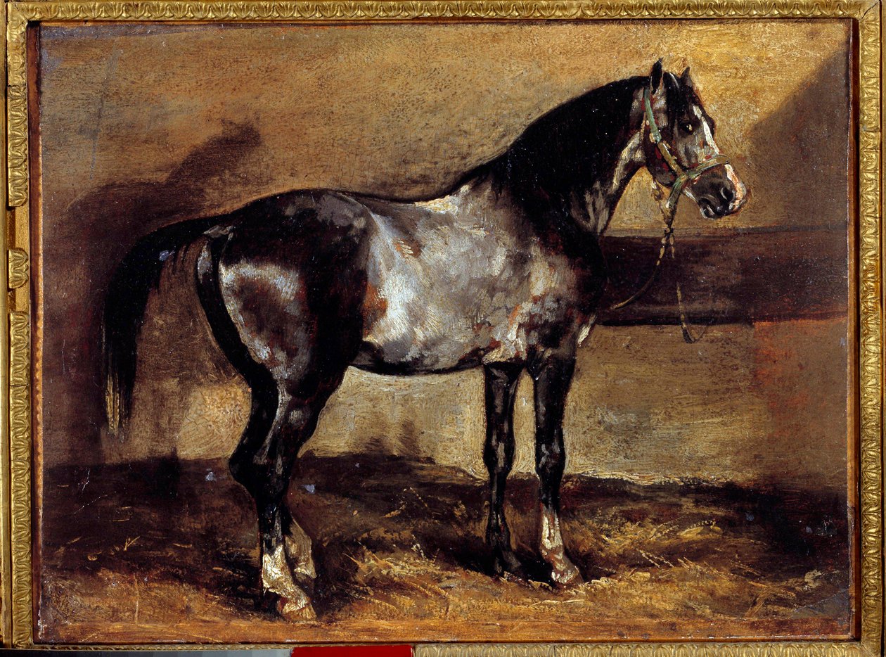 Grey Horse at the Ratelier Maleri af Theodore Gericault (1791-1824) 1800-tallet søn. 0,26x0,34 m af Theodore Gericault