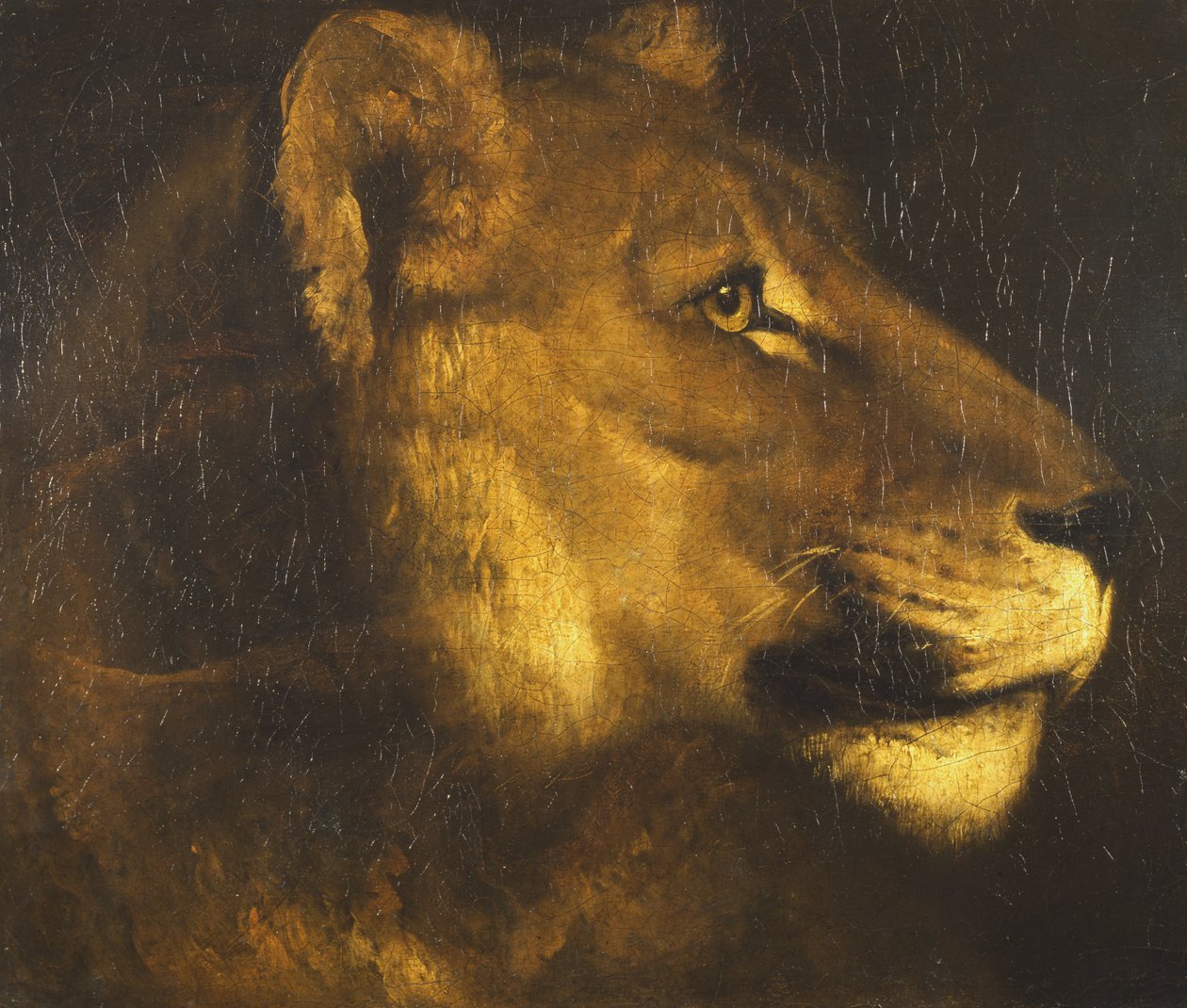 Leder af en løvinde af Theodore Gericault