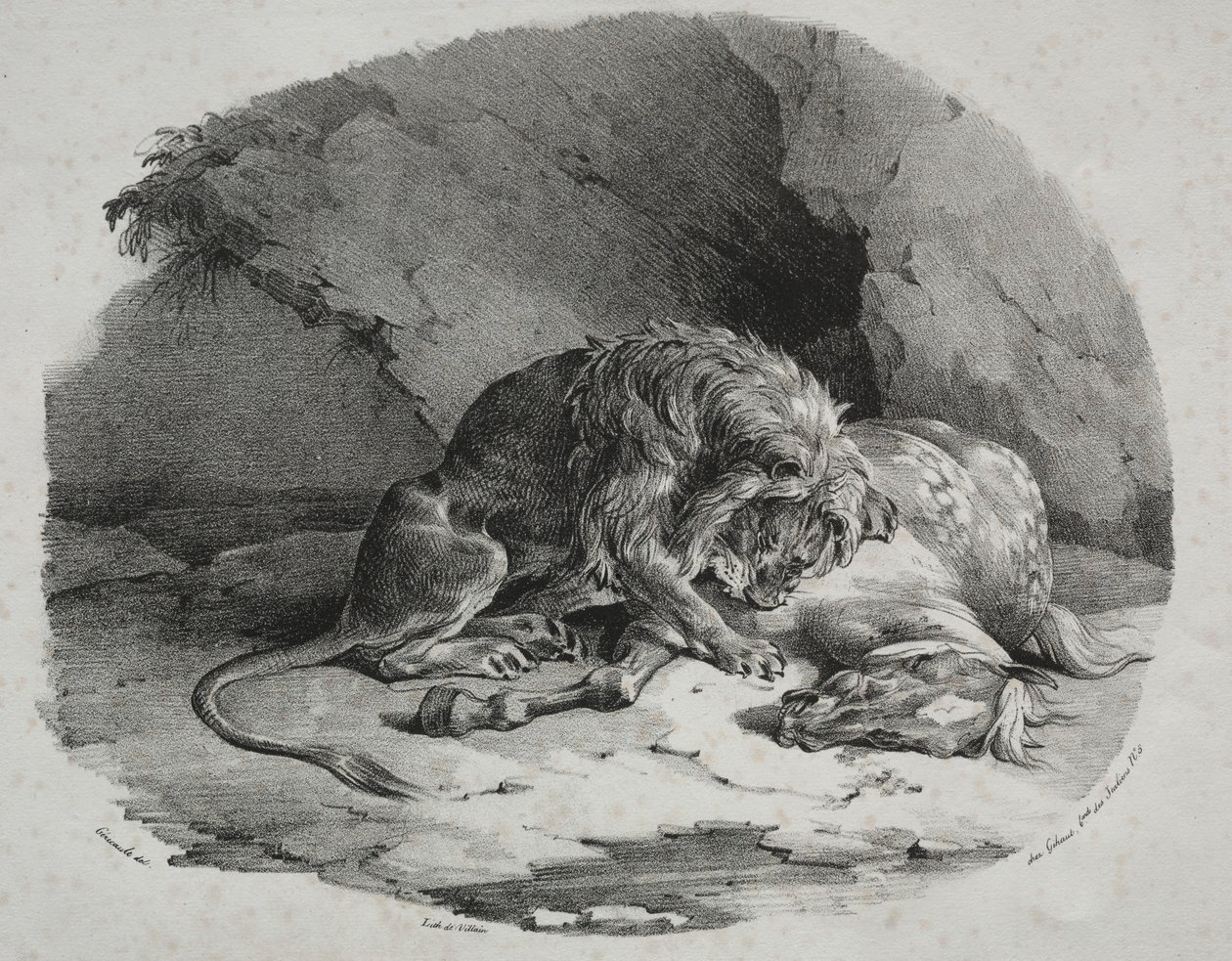 Hest fortæret af en løve, 1823. af Theodore Gericault