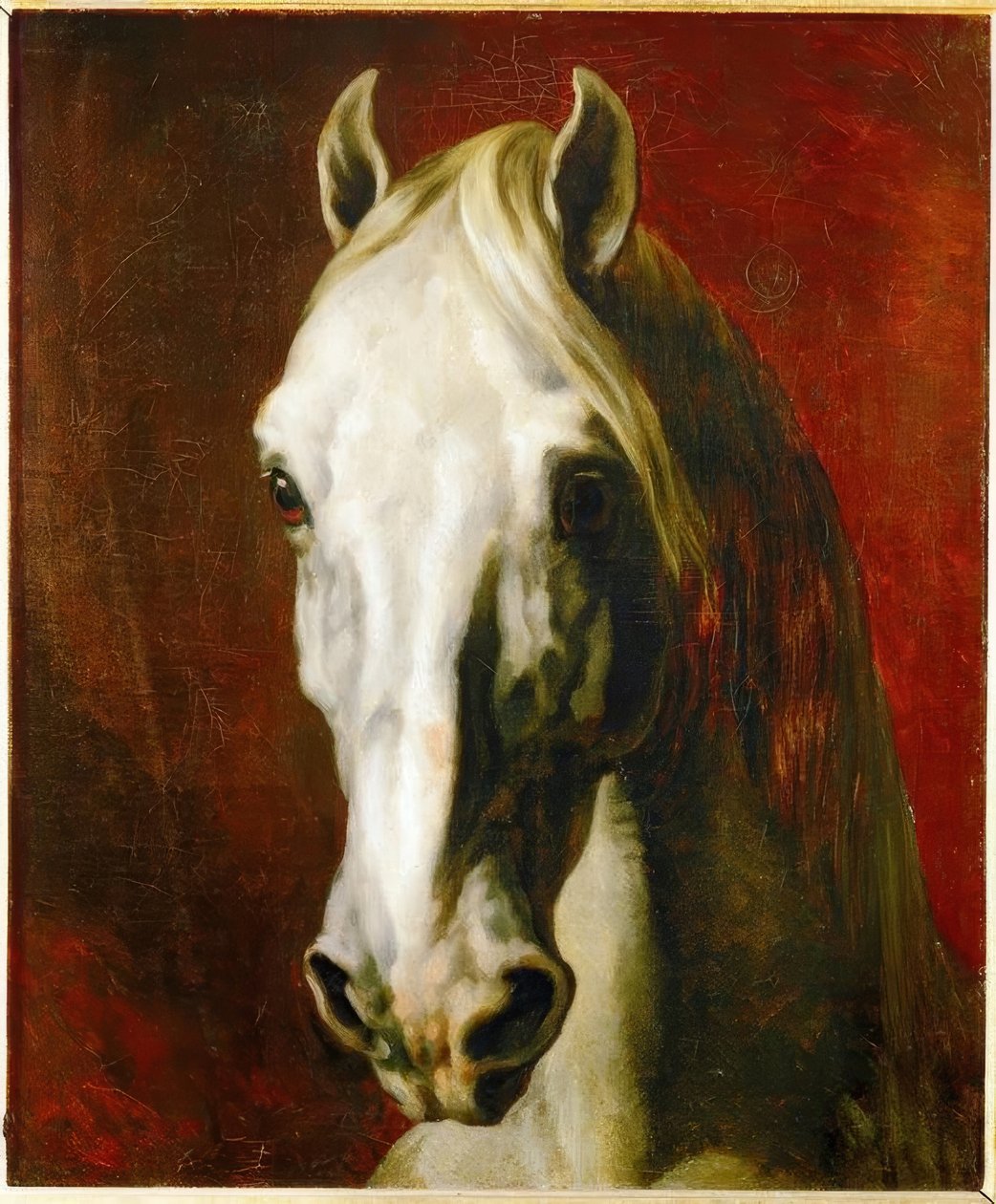 Hovedet af en hvid hest af Theodore Gericault