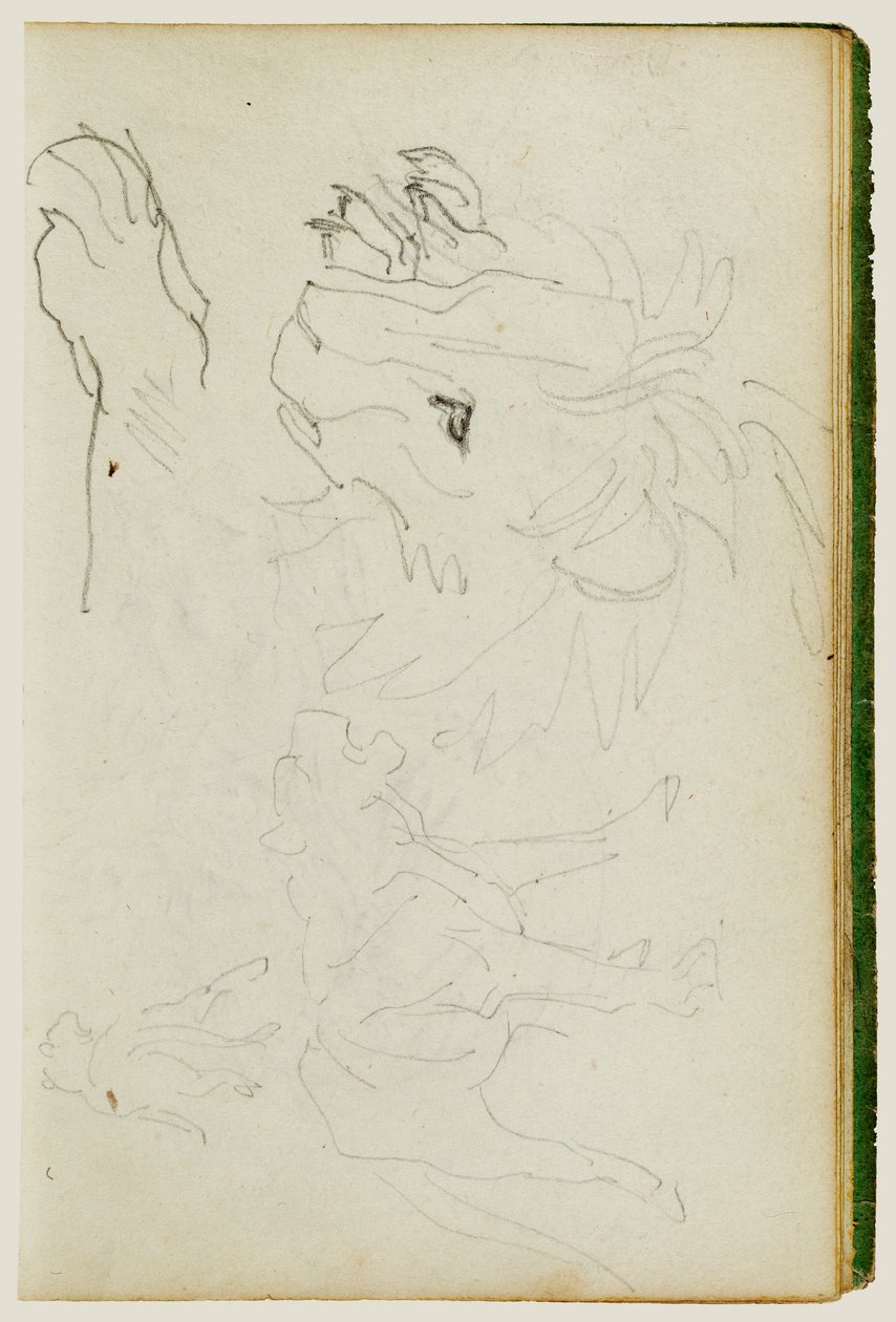 Undersøgelser af løver af Theodore Gericault