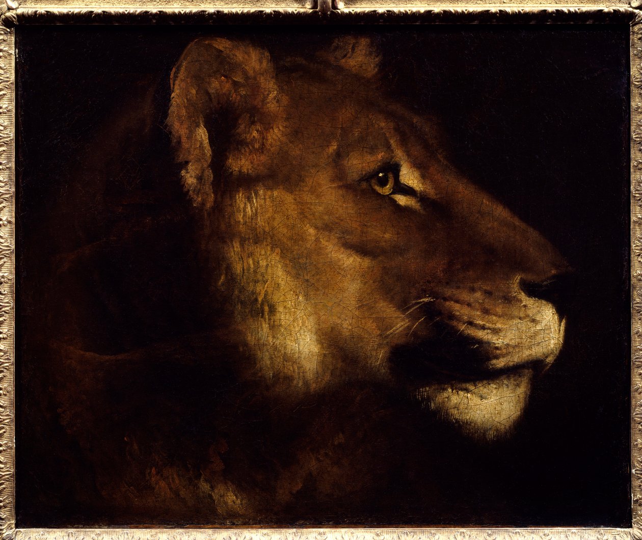 Løvinde hovedmaleri af Theodore Gericault (1791-1824) 1800-tallet søn. 0,55x0,65 m Paris, Musée du Louvre. - Leder af løvinde. Maleri af Theodore Gericault (1791-1824) af Theodore Gericault