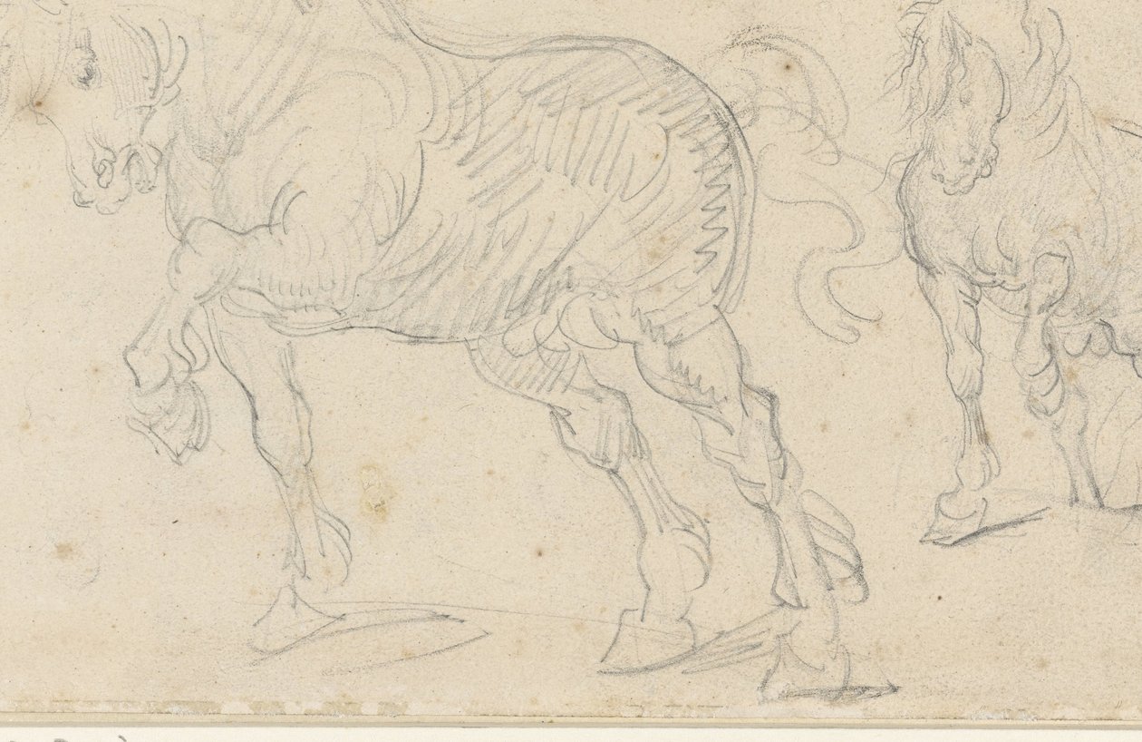 Hestestudier af Theodore Gericault