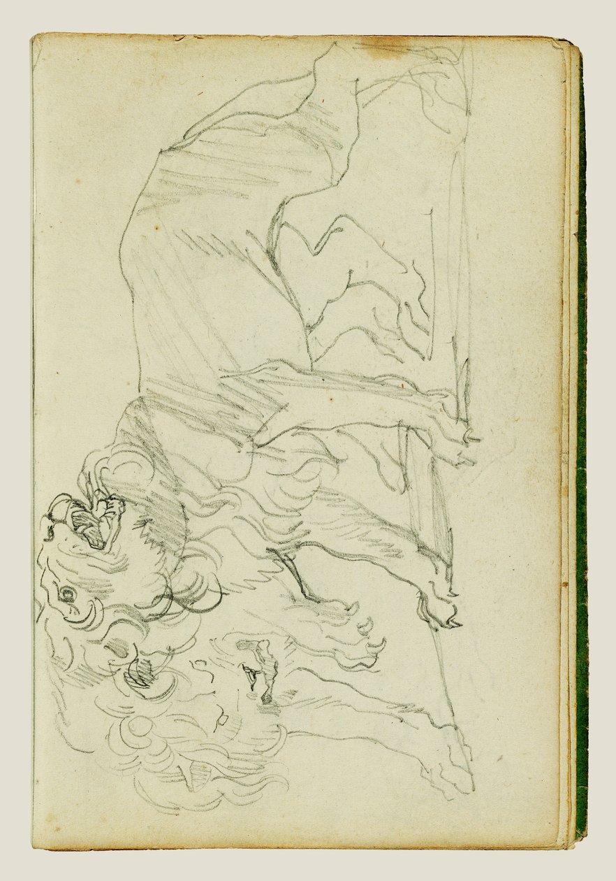 Et par løver af Theodore Gericault
