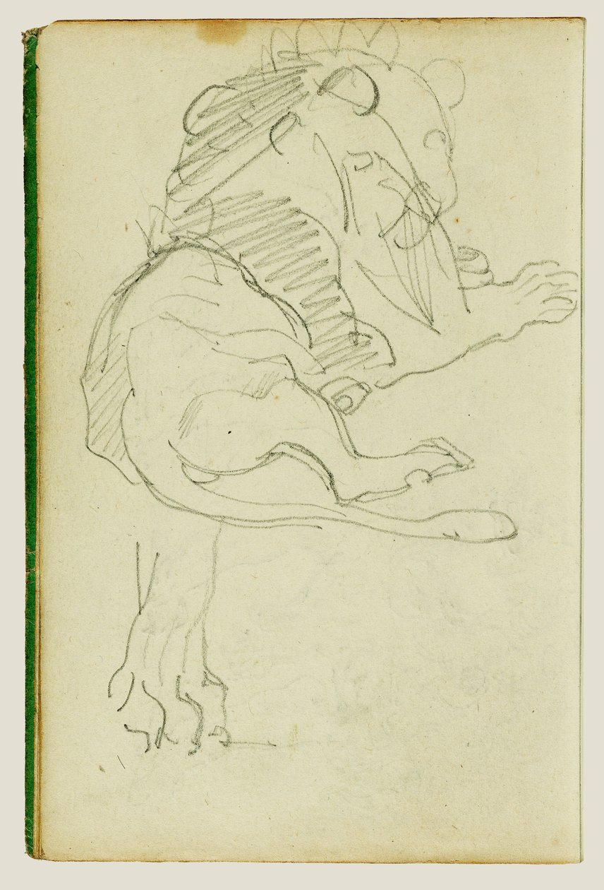 Siddende løve af Theodore Gericault