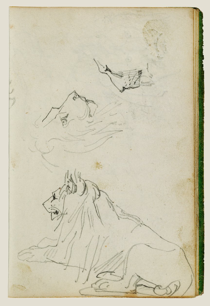 Siddende løve, to studier af løvehoved af Theodore Gericault